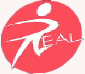 Safety Harbor Magazine